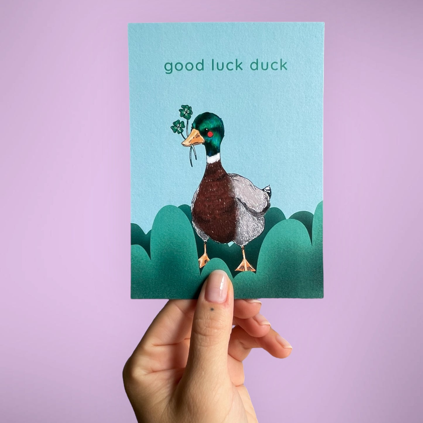 Postkarte good Luck Duck
